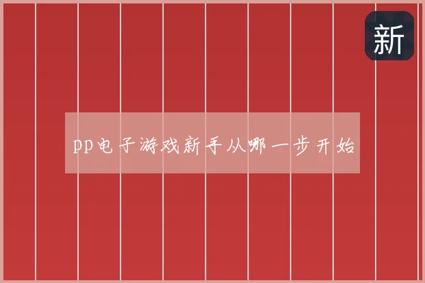 pp电子游戏新手从哪一步开始
